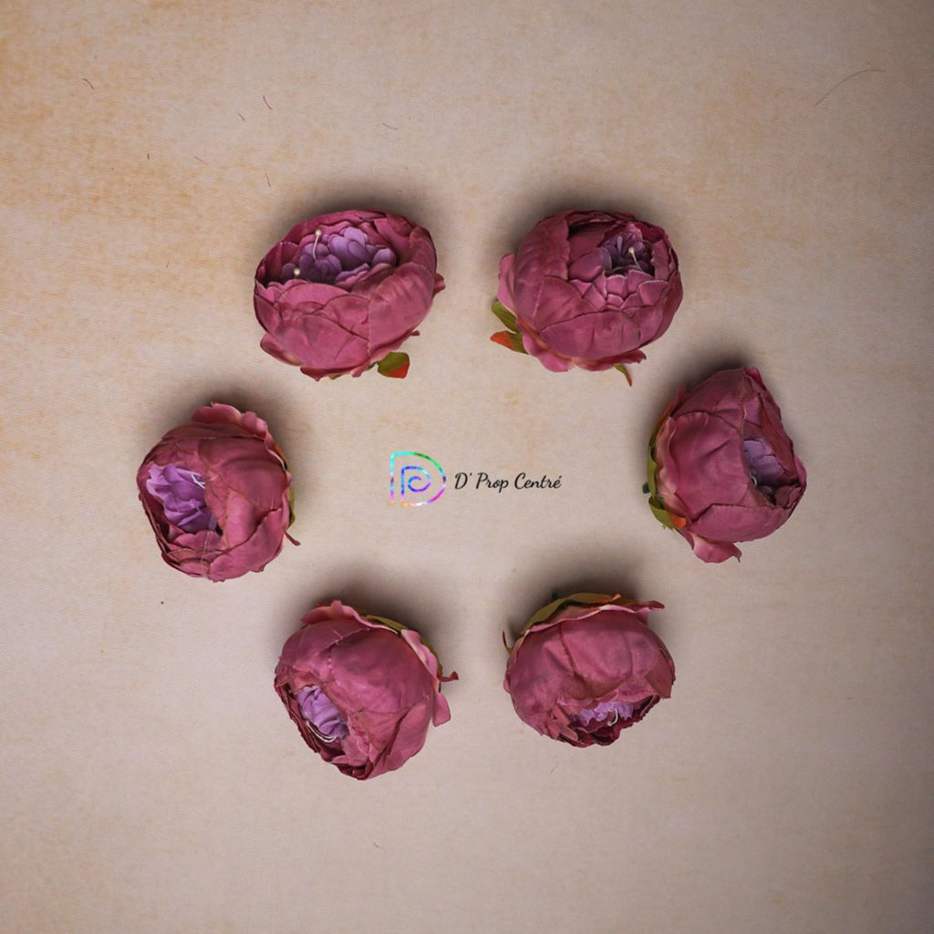 Peonies Flowers