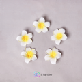 Champa Flower Set Of 5 Pcs