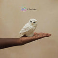 Owl Lamp