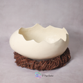 Egg Shell