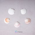 Shells - Set of 5