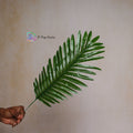 Palm Leaf