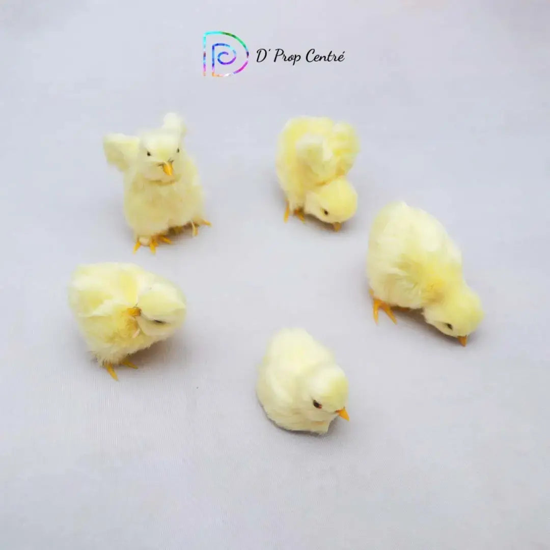 Chicks Set of 5