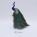 Peacock Type 2