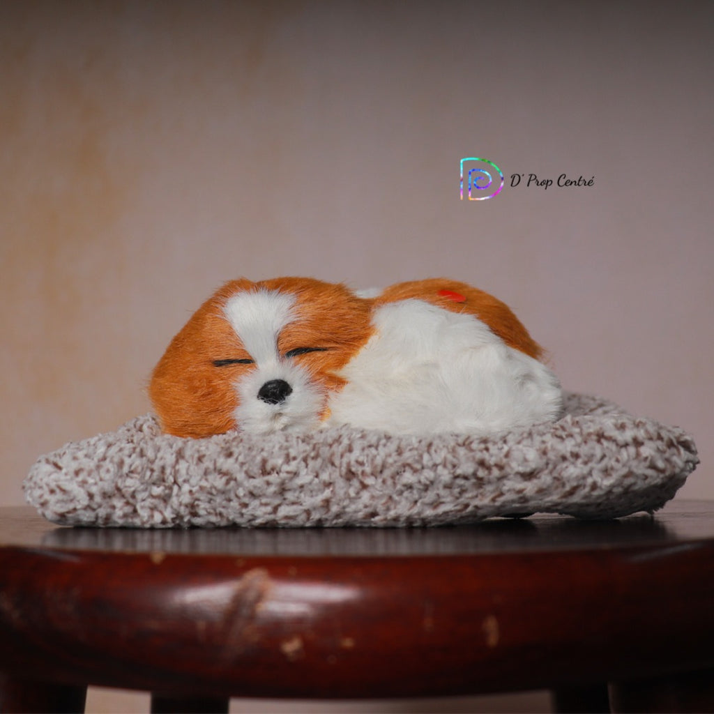 Sleepy Dog