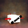 Box Aeroplane