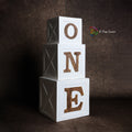 ONE/TWO Apple Box - Set of 3