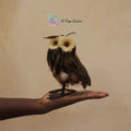 Feathered Owl