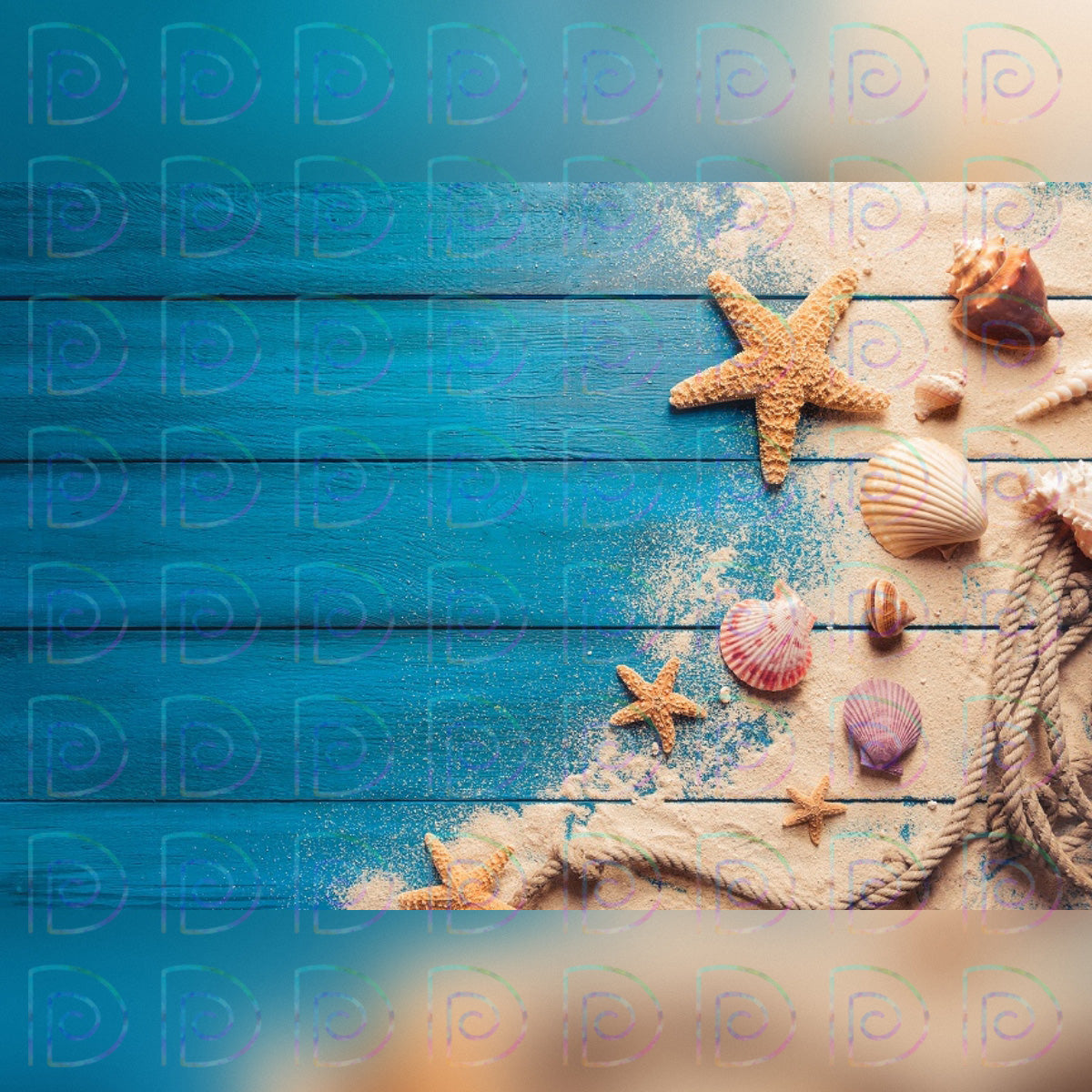 Beach Board Backdrop