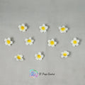 Champa Flowers Set of 10