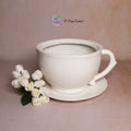 Cup & Saucer