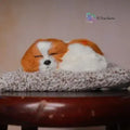 Sleepy Dog