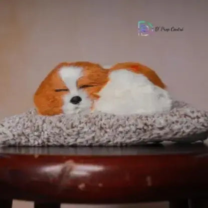 Sleepy Dog