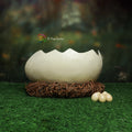 Egg Shell