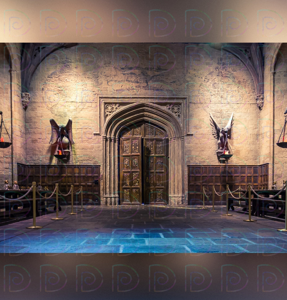 Harry Potter Backdrop