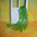 Grass Creeper ( Light Green)