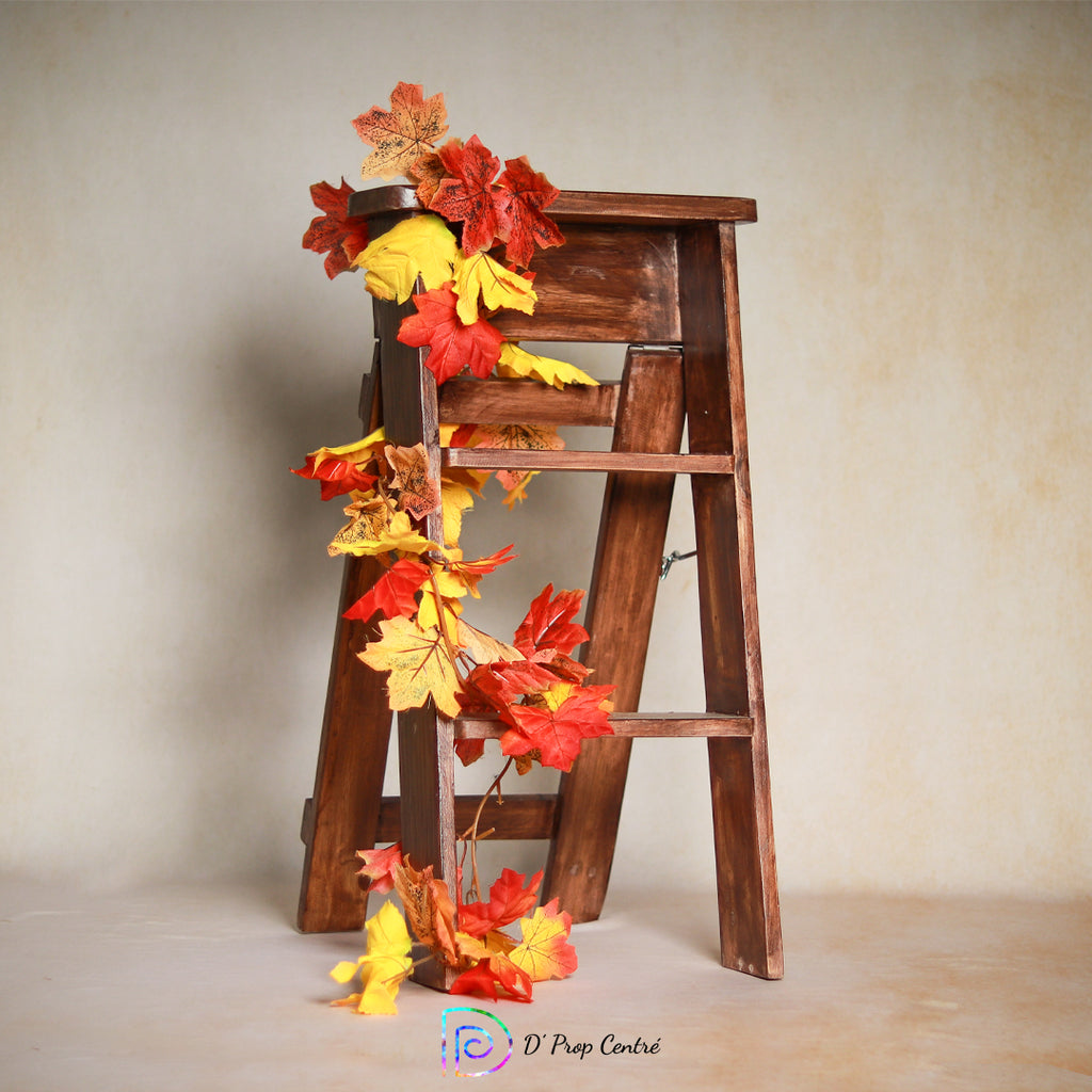 Ladder Prop