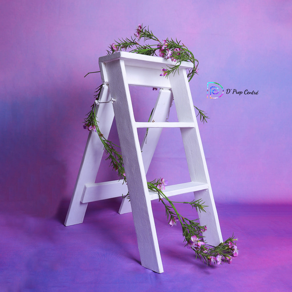 Ladder Prop