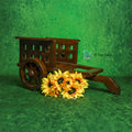 Bullock Cart