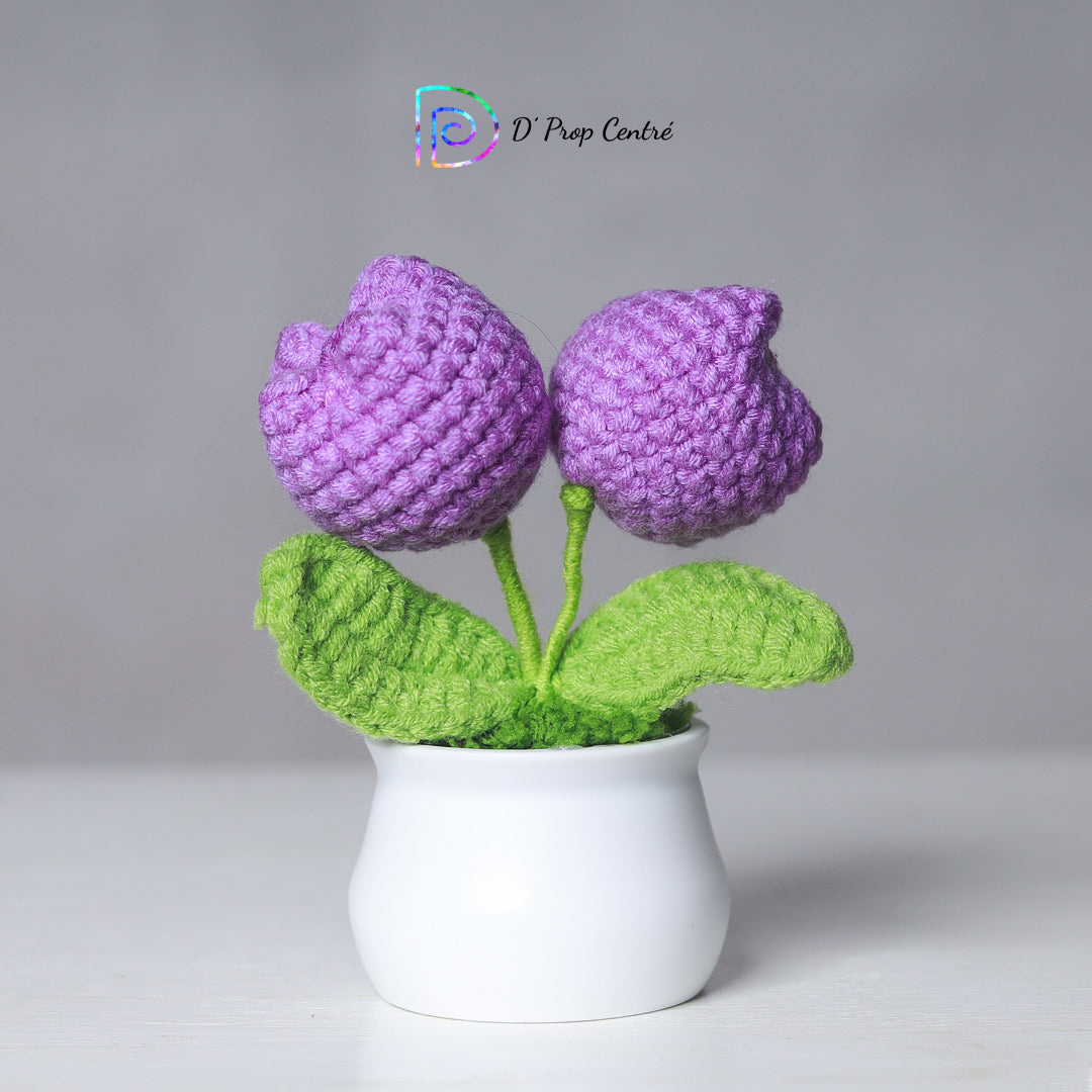 Crochet Flower Pot