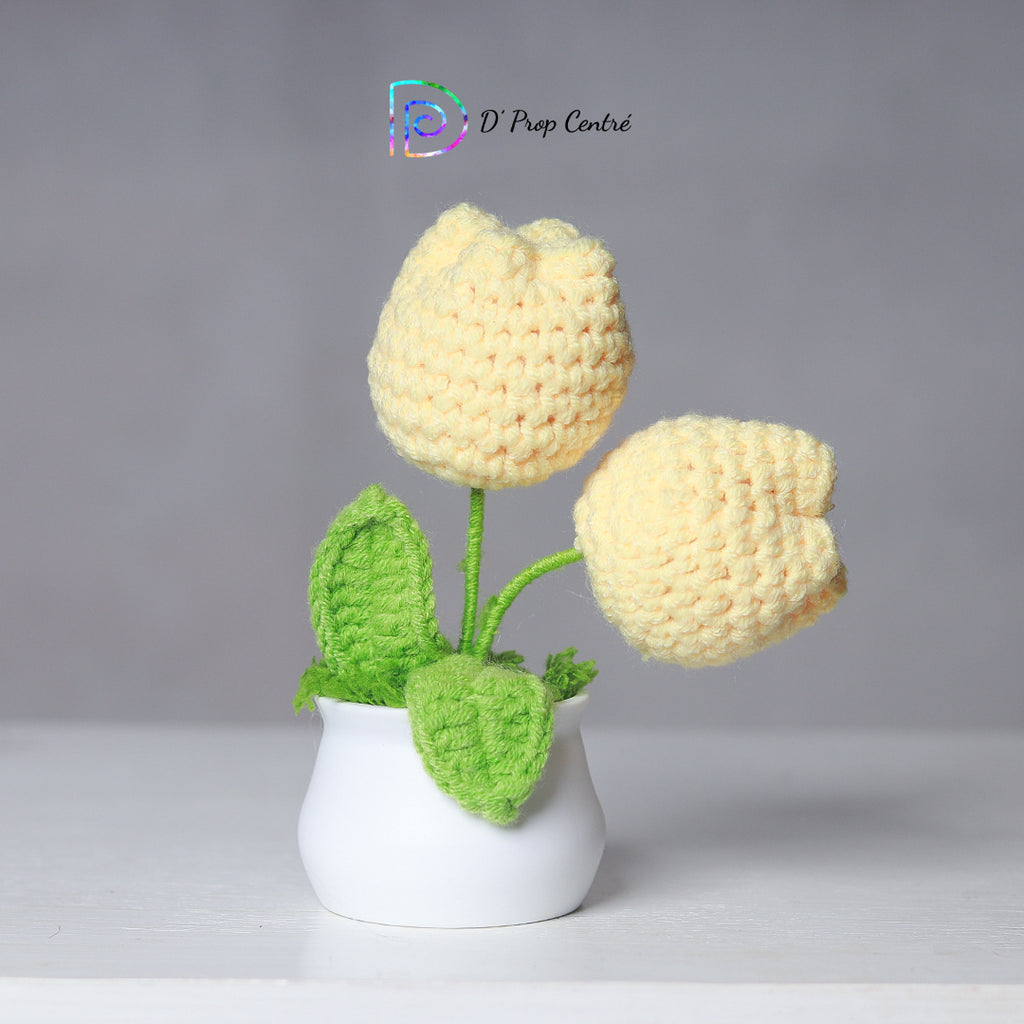 Crochet Flower Pot