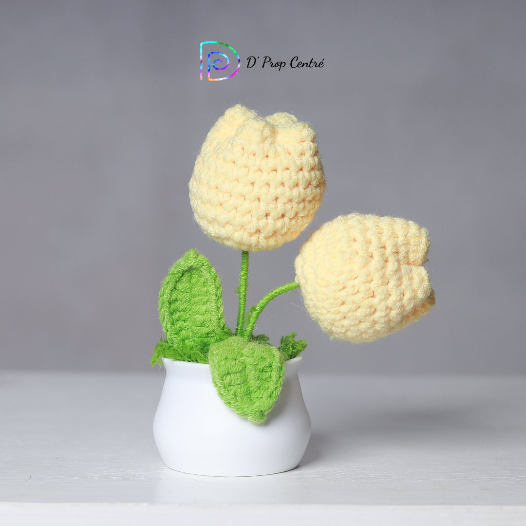 Crochet Flower Pot