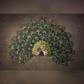 Peacock Feathers Backdrop