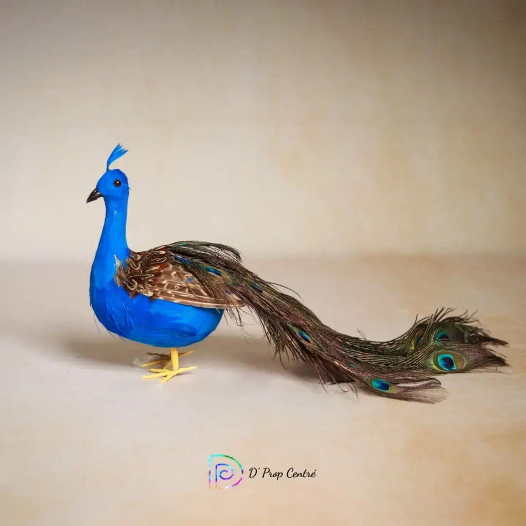 Peacock Type 1