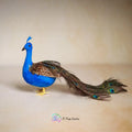 Peacock Type 1