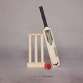 Cricket Set