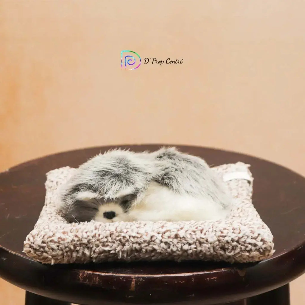 Sleepy Dog