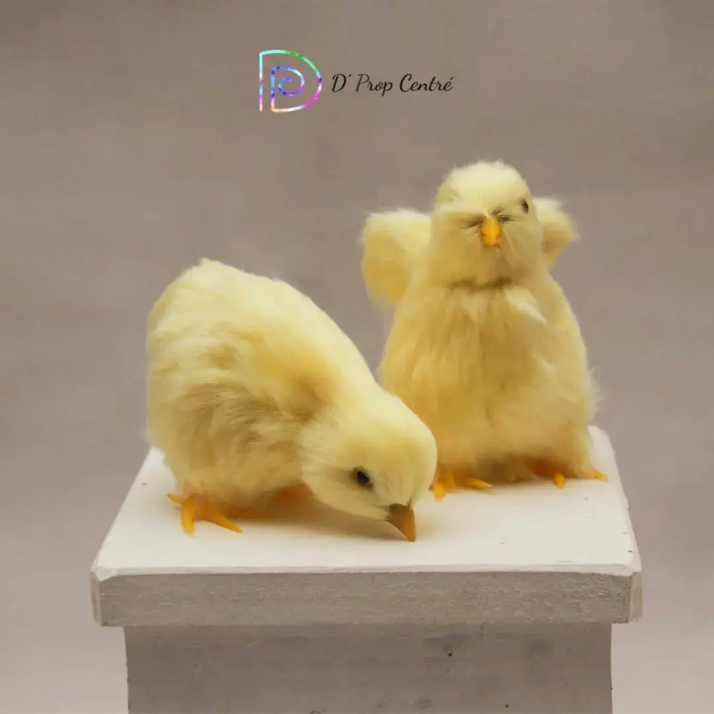 Chicks Set of 5