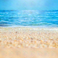 Sand Beach Backdrop