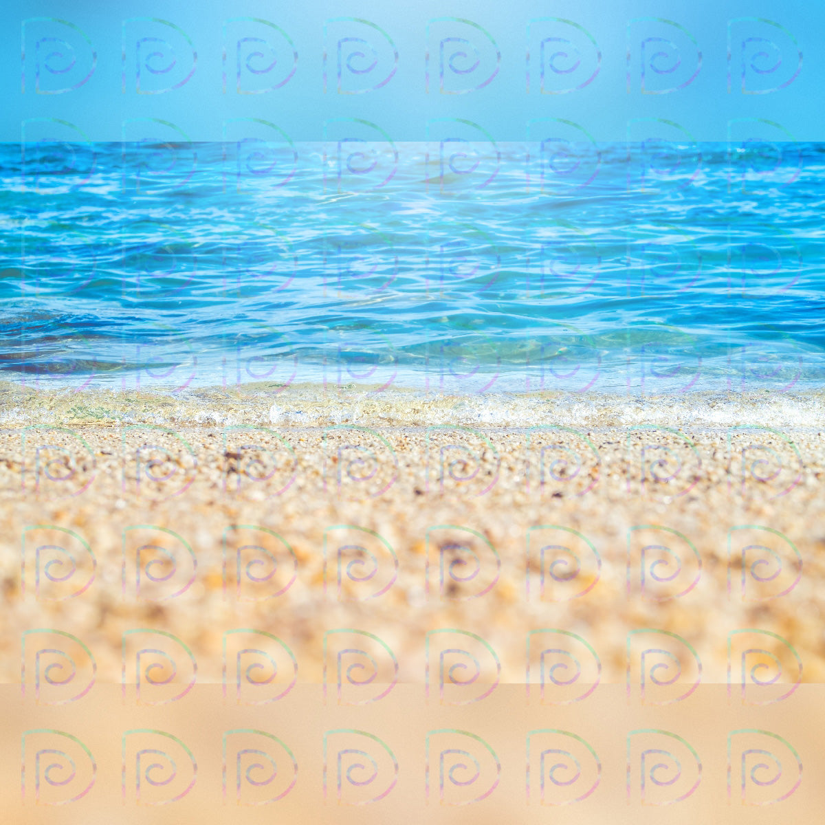 Sand Beach Backdrop