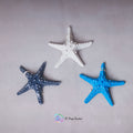 Starfish (Set of 3)