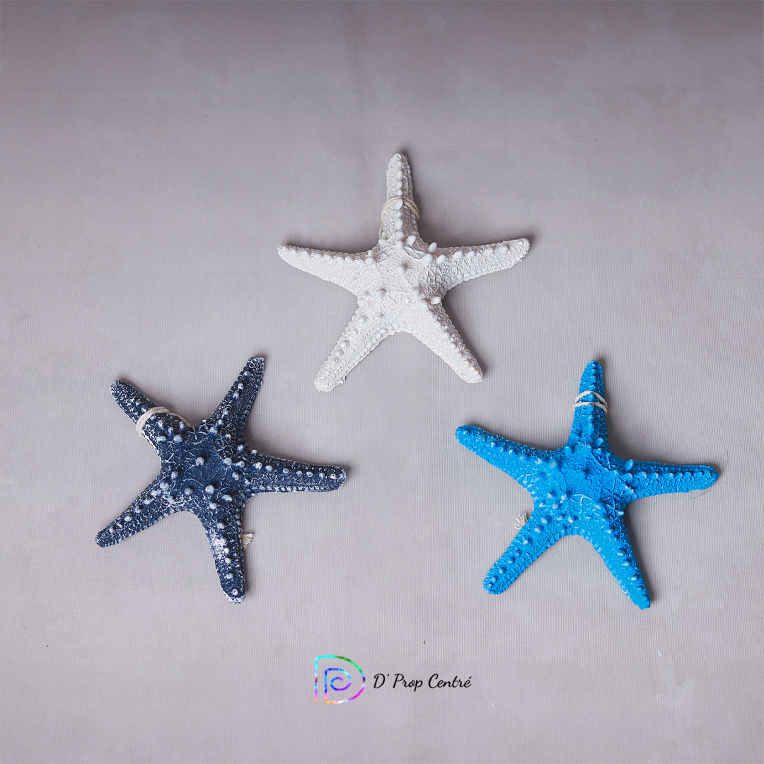 Starfish (Set of 3)