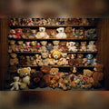 Teddy Collection V2 Backdrop