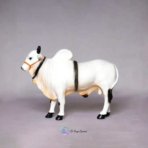 Bull (Only for Instore Pick-up)
