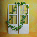 Ivy Leaf Creeper