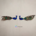 Peacock Pair