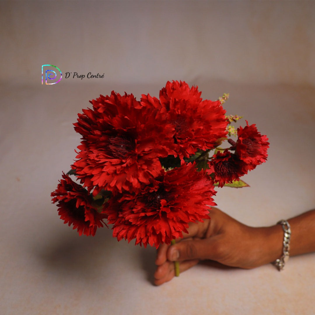 Carnation Bunches