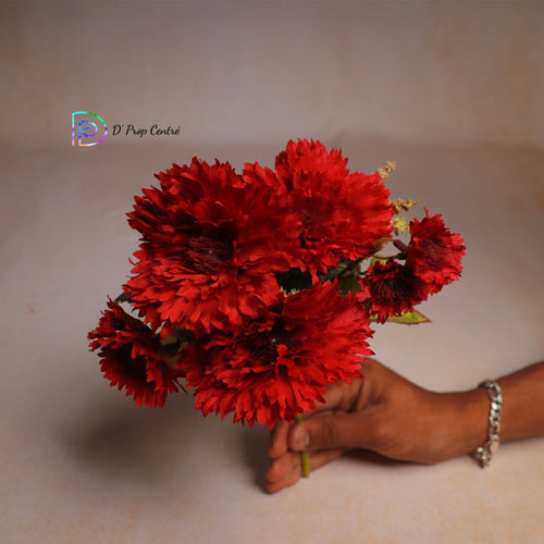 Carnation Bunches