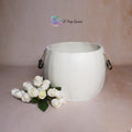 Double Handle Bucket