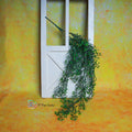 Falling Creeper ( Dark Green)
