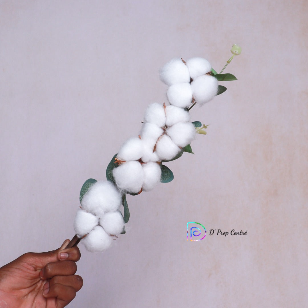 Cotton Burst