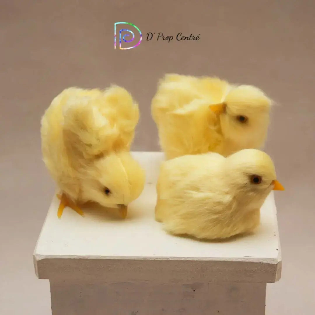 Chicks Set of 5