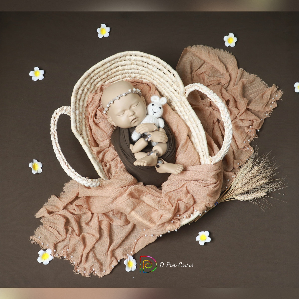 Newborn Woven Basket Theme