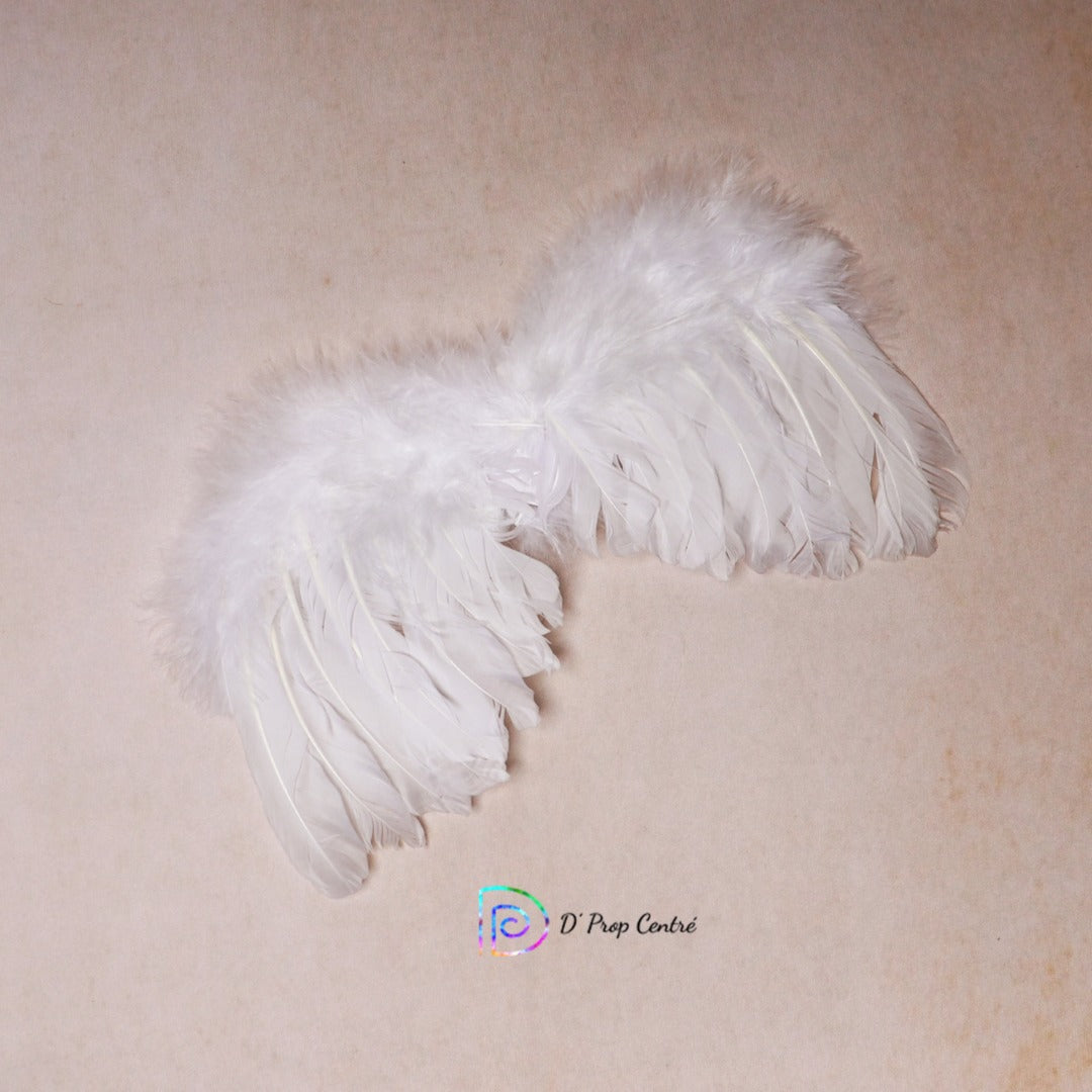 Newborn Wings