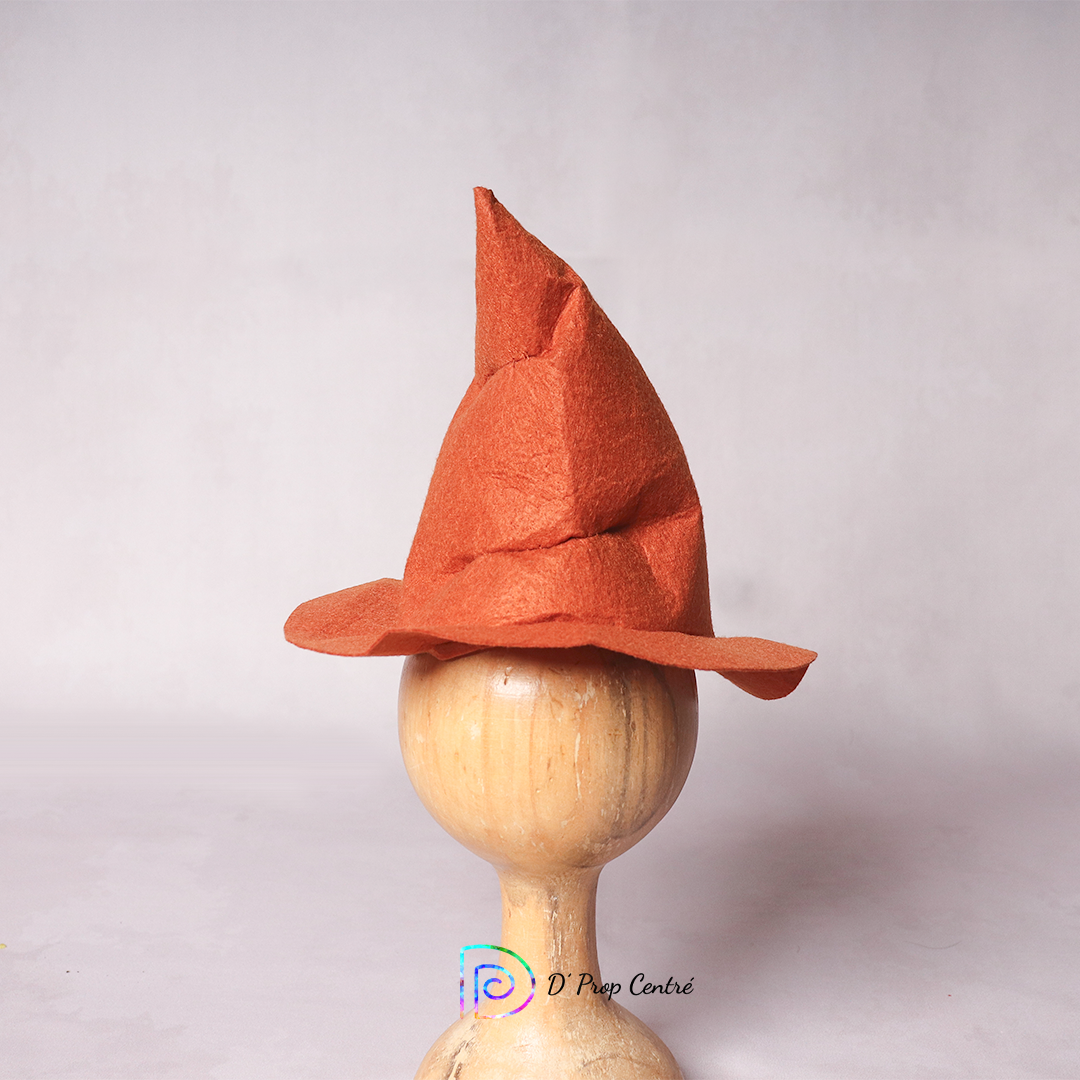 Felt Harry Potter Hat