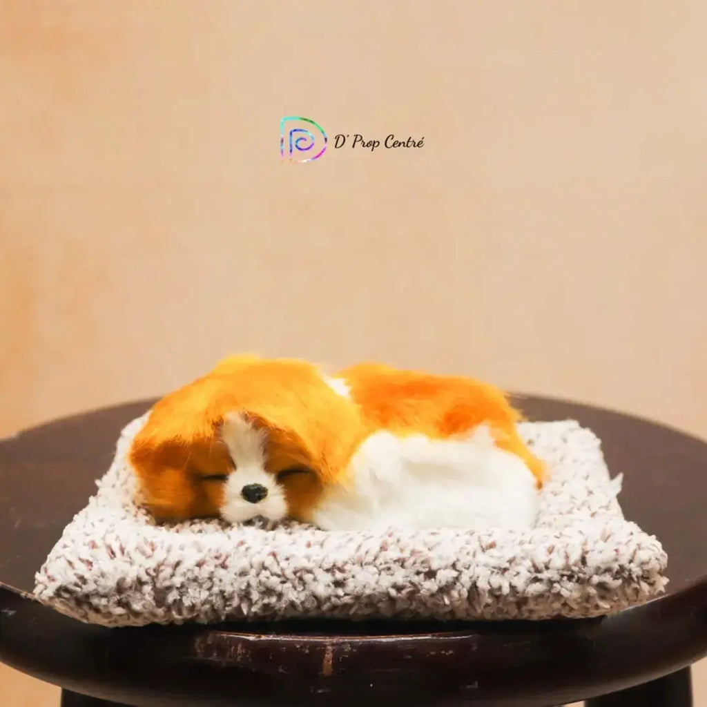Sleepy Dog